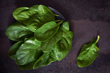Washed fresh spinach on a black background