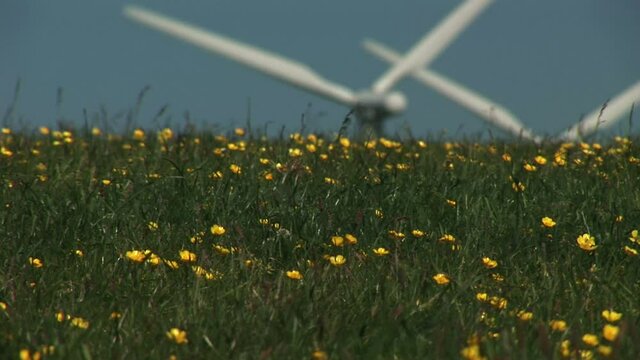 Wind turbines turning in the wind on a farm in England wild flowers UK