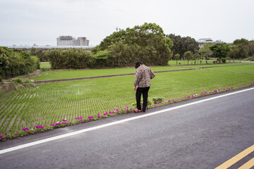 Fototapeta premium Unrecognizable woman taking care of flowers next to road
