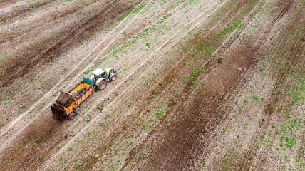 A tractor with a trailer fertilizes the field with natural fertilizer-manure. Aerial view.