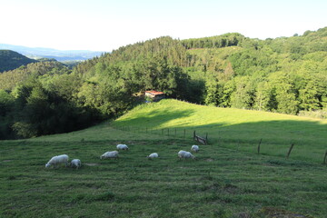 Entorno de paisajes del Monte Adarra próximo a la puesta de sol