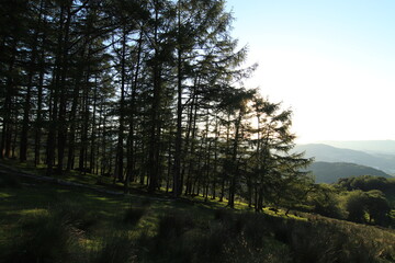 Entorno de paisajes del Monte Adarra próximo a la puesta de sol