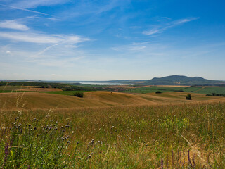 Fototapeta na wymiar Summer landscape in South Moravia, Czehc republic