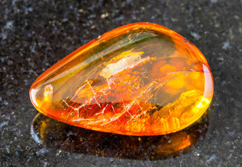 closeup of sample of natural mineral from geological collection - tumbled Amber gem stone on black granite background from Baltic Sea, Kaliningrad, Russia