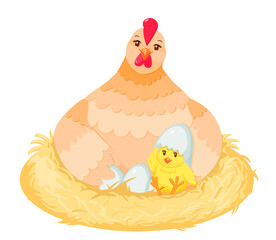 Cute cartoon chicken in the nest hatching eggs and first hatched chick