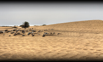 Dünen von Maspalomas