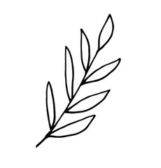 Single hand-drawn branches with leaves for decorating cards, presentations, invitations. Doodle vector illustration. Isolated on white background