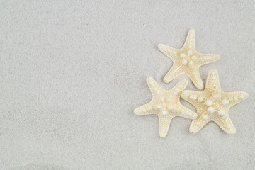 Fototapeta na wymiar Three starfishes on white sand background with space for text