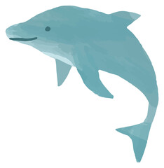 イルカ　動物　海　水彩　イラスト
