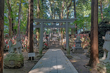 日本三大稲荷 豊川稲荷 霊狐塚