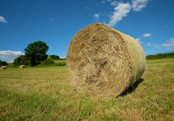 A round bale of straw on a field