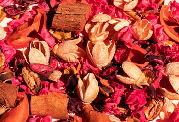 Background and texture of dried flowers, pink, orange and wood.