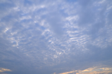 流れるような筋雲の美しさ
