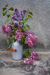 Lilac flowers in metal can on greey wall