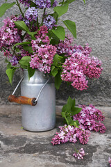 Lilac flowers in metal can on greey wall