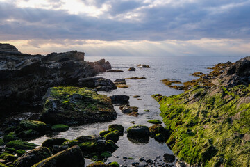 Fototapeta na wymiar 城ヶ島の海