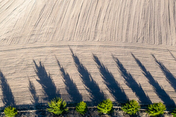 Treated field with shadows. View from above. Aerial photography