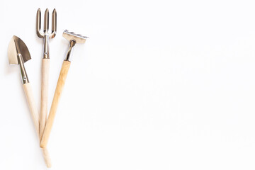 Tools for gardening at home. Growing food on windowsill. Copyspace for text, top view. Flatlay on white background