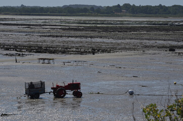 Fototapeta na wymiar Oyster farming (ostréiculture), Pointe de Pen-Be, traick de Mesquer Asserac, Loire-Atlantique, west of France
