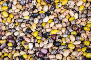 Background from multi-colored beans