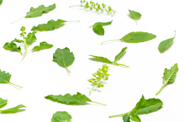 Closeup green fresh basil leaves (Ocimum basilicum) and flower isolated on white background. Herbal medicine plant concept.Top view. Flat lay.
