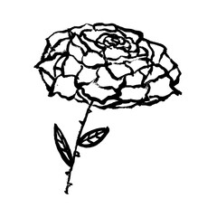 Black silhouette of rose flower isolated on a white background. Doodle grunge hand-drawn style. Big flower is suitable for clothes, wallpaper, stickers, decorations.