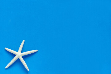 Fototapeta na wymiar White Finger Starfish on blue background. Sea stars and shells. Sea, vacation, vacation mood. flat layout. space for text. top view.