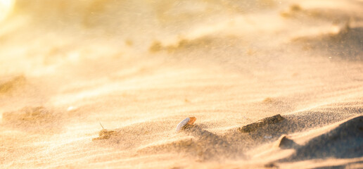 Sand dunes in the desert. Global warming