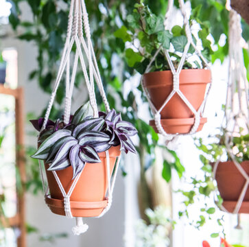 Makramee Blumenampel aus Baumwollschnur geknüpft - Urban Jungle Trend - Zimmerpflanzen Dekoration