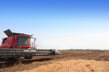 Obraz premium Harvester farming in the field. Harvesting machines. Field on a bright sunny day.