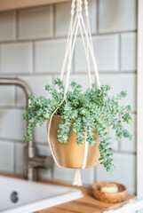 Makramee Blumenampel aus Baumwollschnur geknüpft - Urban Jungle Trend - Zimmerpflanzen Dekoration