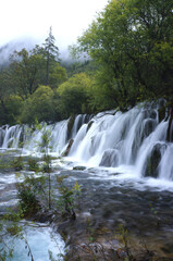 Obraz premium Beautiful and fresh scenery at Arrow Bamboo waterfall with cascade, green algae, reflection and trees perfect for mind relaxing during holidays at Jiuzhaigou Valley National Park.