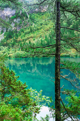 Beautiful and fresh scenery along the crystal clear lake with green algae, reflection and trees perfect for mind relaxing during holidays at Jiuzhaigou Valley National Park.