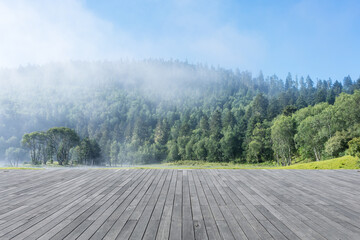 forest background with wooden floor