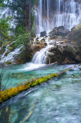 Beautiful and fresh scenery at  waterfall with cascade, green algae, reflection and trees at Jiuzhaigou Valley National Park.