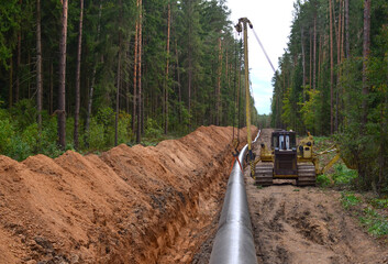 Pipelaying crane lowers a section of pipe into a trench. Construction of gas pipeline to new LNG...
