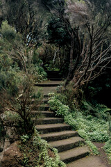 stairway to the mountain