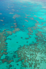 Fototapeta na wymiar Great Barrier Reef, Queensland Austraila taken in 2008