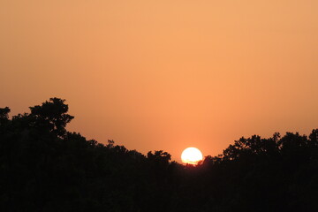 Sunset over the Indian Jungle