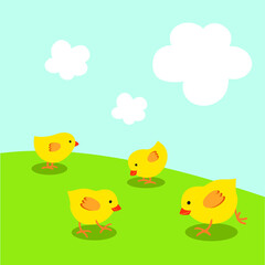 Little chicks