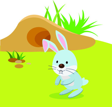 Rabbit and barrow. Vector illustration of a rabbit or bunny having their outdoor activities.
