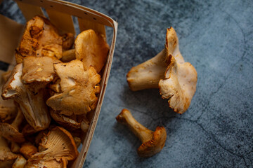Chanterelle or girolle mushrooms (Cantharellus cibarius). Raw fresh chanterelles mushrooms. Fresh organic mushrooms. Fungi background texture.