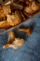 Harvest of mushrooms, food closeup. Batch of fresh mushrooms. Fresh chanterelles or golden chanterelles. Raw wild chanterelles mushrooms on rustic background