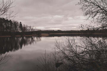 Fototapeta premium reflection of trees in the water