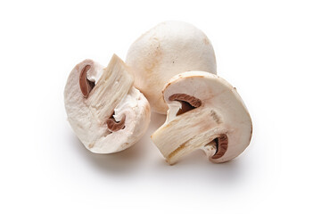 White mushrooms lie on a white background