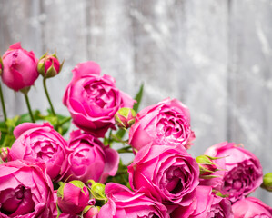 Beautiful rose Bush roses, wedding flowers close-up.