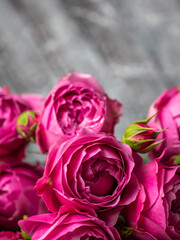 Beautiful rose Bush roses, wedding flowers close-up.