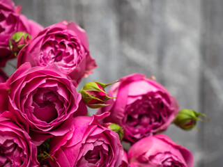 Beautiful rose Bush roses, wedding flowers close-up.