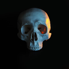 Skull. Human skull with with color toning. Black background.