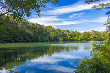 A calm lake in Goshikinuma, Japan planted with trees in a sunny day